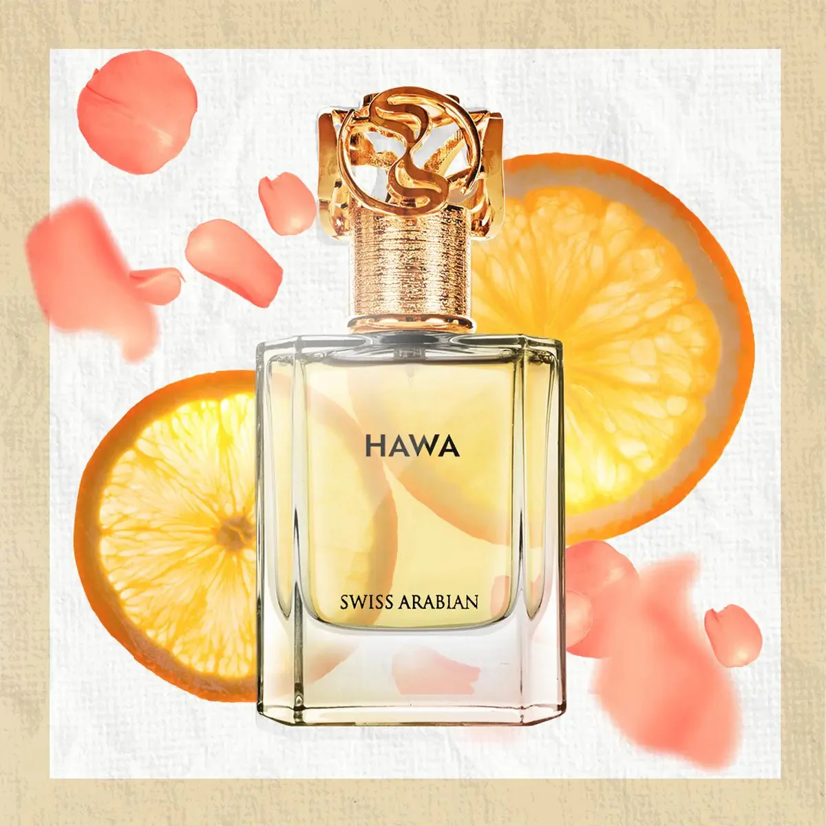 HAWA - Image 5